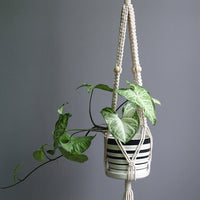 Indoor Plant Pot Hanger - Bean Concept - Etsy