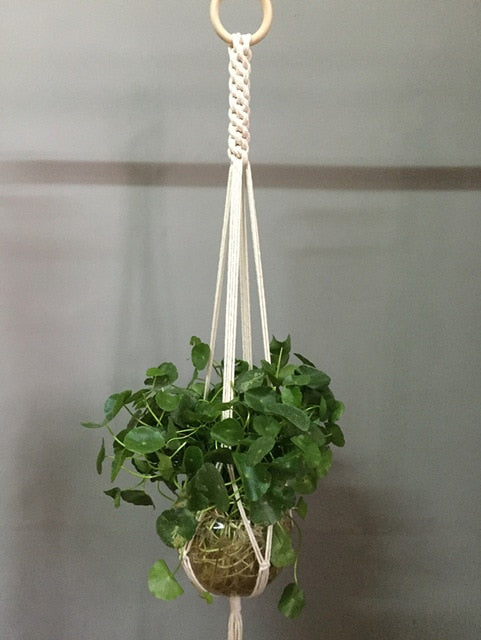 Indoor Plant Pot Hanger - Bean Concept - Etsy