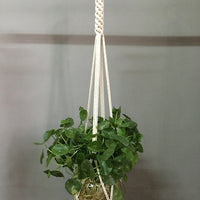Indoor Plant Pot Hanger - Bean Concept - Etsy