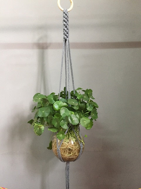 Indoor Plant Pot Hanger - Bean Concept - Etsy