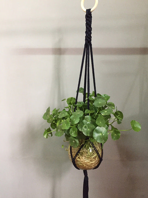 Indoor Plant Pot Hanger - Bean Concept - Etsy