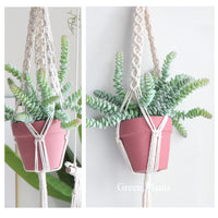 Plant Flower Pot Hanger - Bean Concept - Etsy