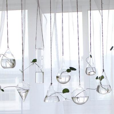 Hanging Hydroponic Glass Vase Plant Pot - Bean Concept - Etsy