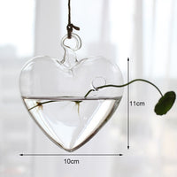 Hanging Hydroponic Glass Vase Plant Pot - Bean Concept - Etsy