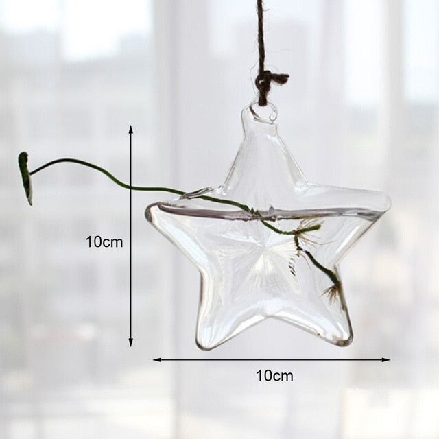 Hanging Hydroponic Glass Vase Plant Pot - Bean Concept - Etsy