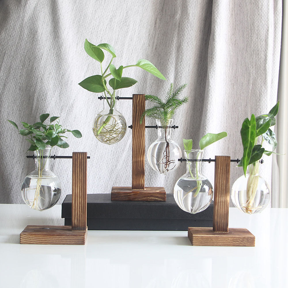 Hydroponic Plant Vases Plant Pot - Bean Concept - Etsy