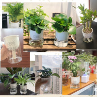 Automatic Watering Plant Pot - Bean Concept - Etsy