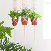 Macrame Plant Pot Hanger - Bean Concept - Etsy