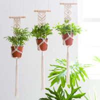 Macrame Plant Pot Hanger - Bean Concept - Etsy