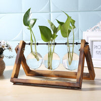 Glass Wood Vase Plant Pot - Bean Concept - Etsy