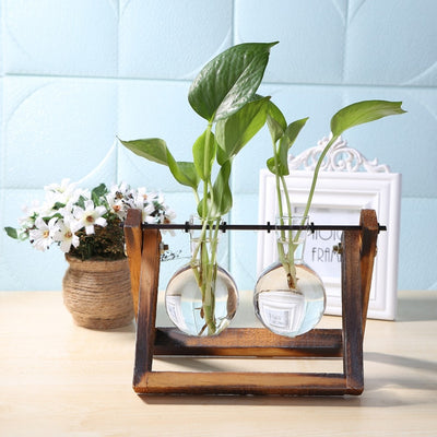 Glass Wood Vase Plant Pot - Bean Concept - Etsy