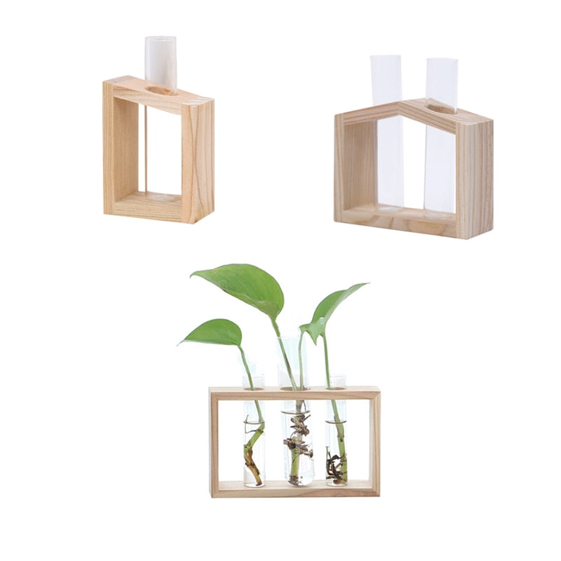 Simple Glass Flower Vase Plant Pot - Bean Concept - Etsy