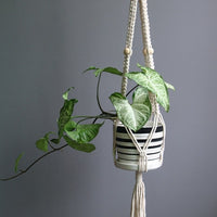 Plant Pot Hanger For Home/Garden - Bean Concept - Etsy