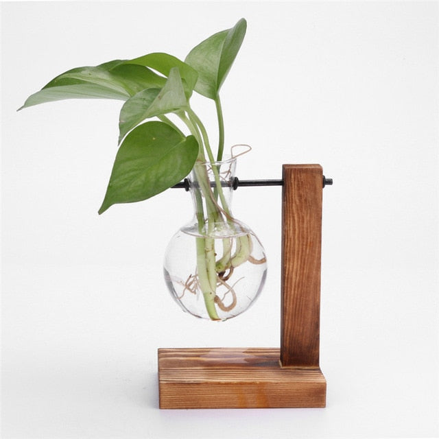 Glass Wood Vase Plant Pot - Bean Concept - Etsy