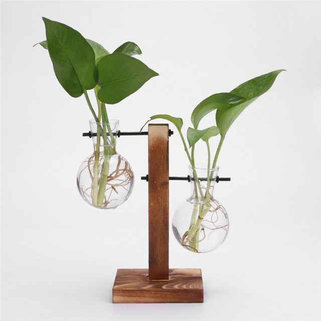 Glass Wood Vase Plant Pot - Bean Concept - Etsy