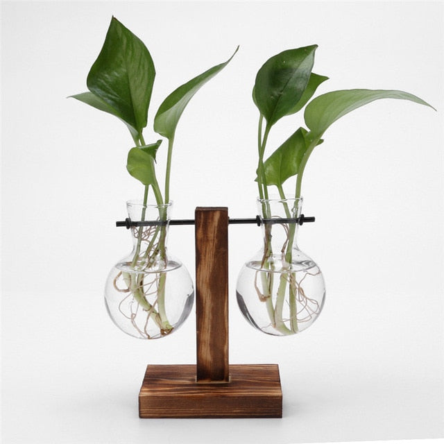 Glass Wood Vase Plant Pot - Bean Concept - Etsy
