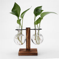 Glass Wood Vase Plant Pot - Bean Concept - Etsy