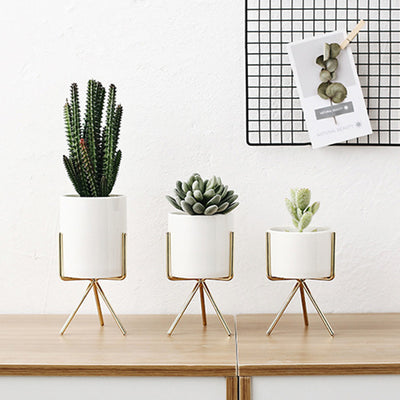Iron Frame Vase/ Succulents Plant Pot - Bean Concept - Etsy