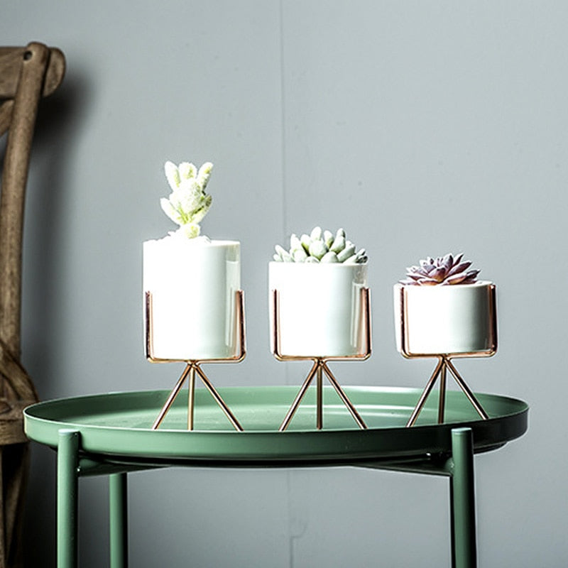 Iron Frame Vase/ Succulents Plant Pot - Bean Concept - Etsy