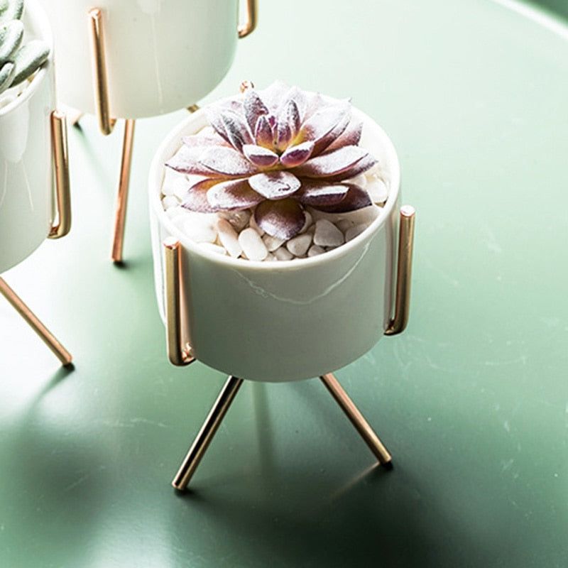 Iron Frame Vase/ Succulents Plant Pot - Bean Concept - Etsy