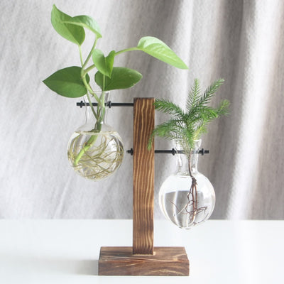 Hydroponic Plant Vase Plant Pot - Bean Concept - Etsy