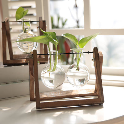 Hydroponic Plant Pot - Bean Concept - Etsy