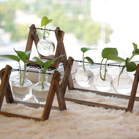 Hydroponic Plant Pot - Bean Concept - Etsy