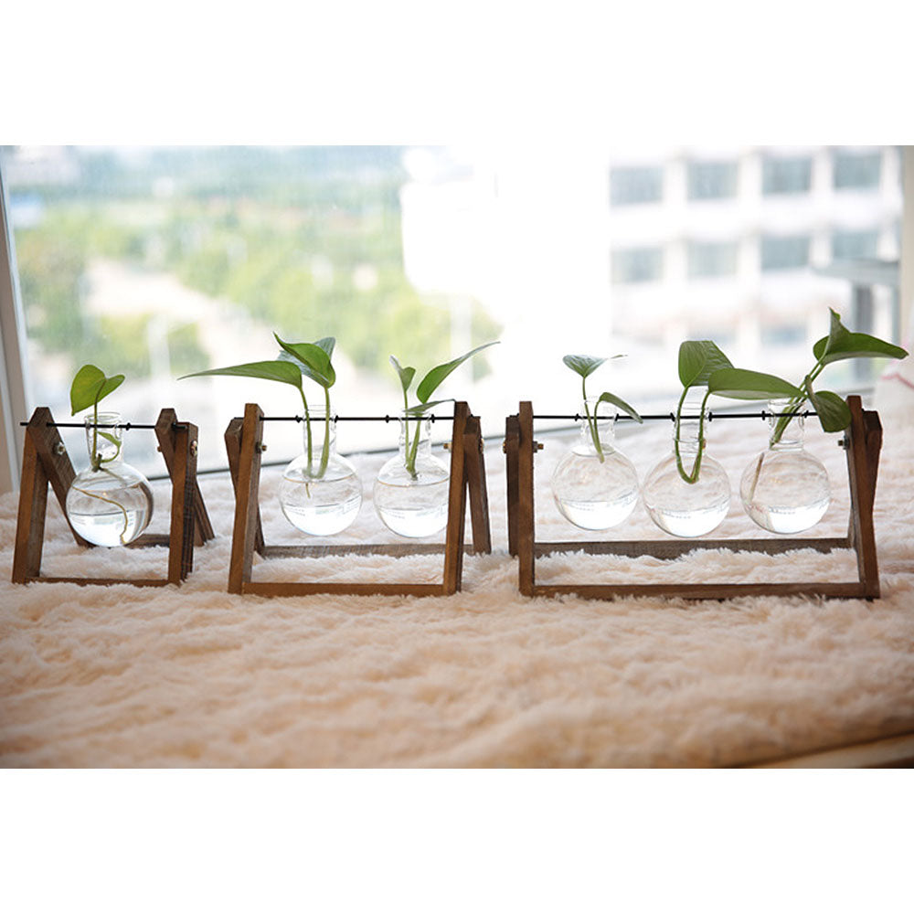 Hydroponic Plant Pot - Bean Concept - Etsy