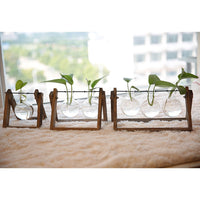 Hydroponic Plant Pot - Bean Concept - Etsy