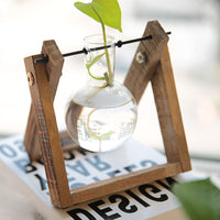 Hydroponic Plant Pot - Bean Concept - Etsy