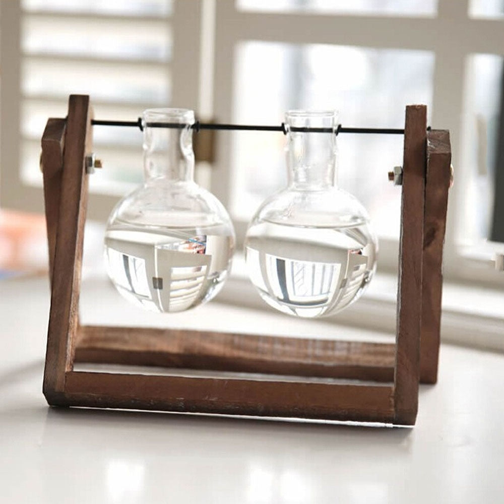 Hydroponic Plant Pot - Bean Concept - Etsy