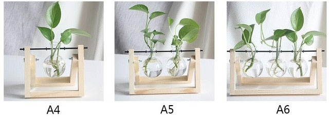 Hydroponic Plant Pot - Bean Concept - Etsy
