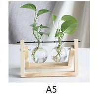 Hydroponic Plant Pot - Bean Concept - Etsy