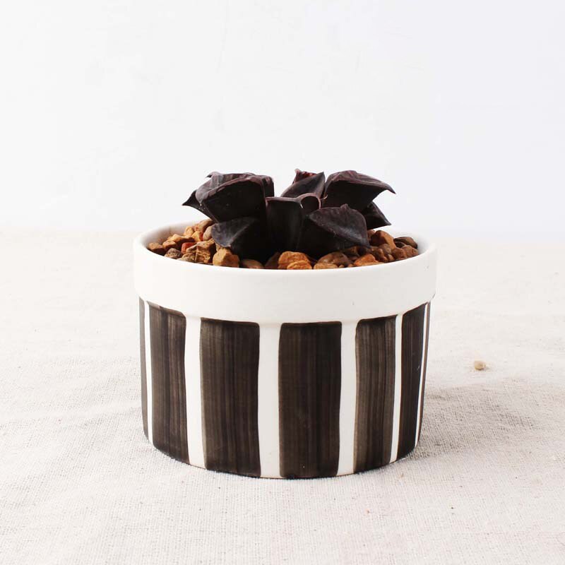 Set of 6 Black Succulent Plant Pots - Bean Concept - Etsy