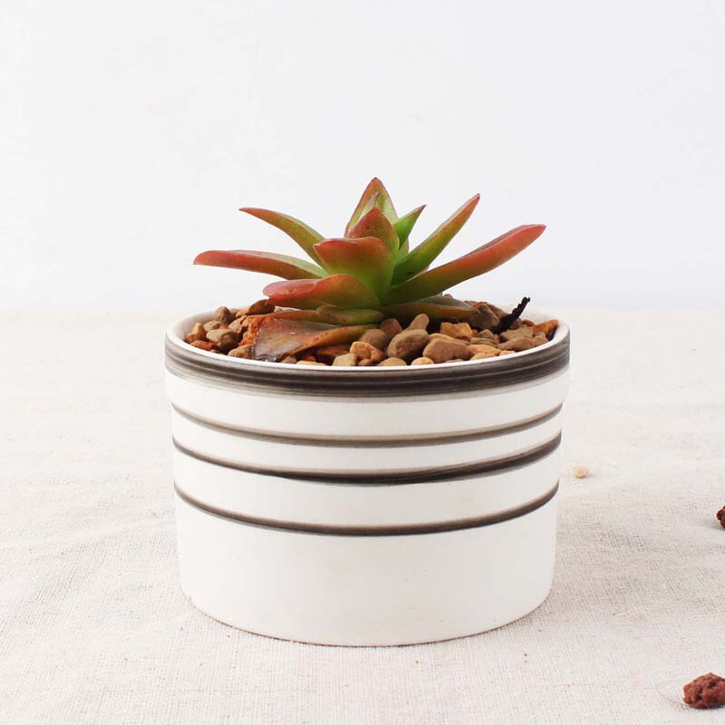 Set of 6 Black Succulent Plant Pots - Bean Concept - Etsy